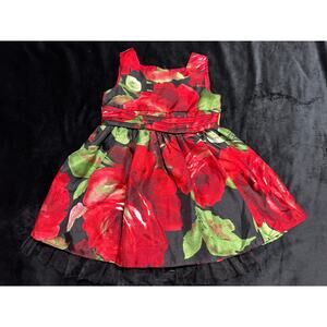 Sweet Heart Rose Baby Dress 2 2T